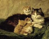 亨利艾特 罗纳 克尼普 : cats